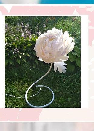 Піон-торшер