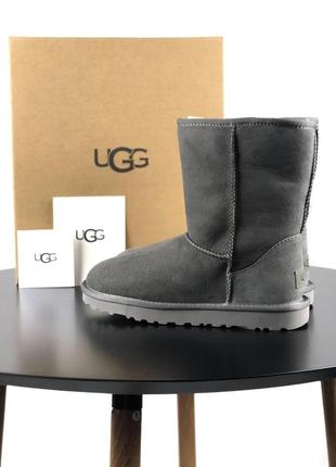 Ugg classic short ii boot grey