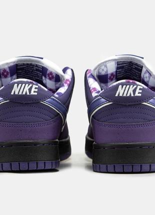 Nike sb dunk low purple lobster5 фото