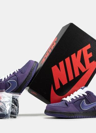 Nike sb dunk low purple lobster9 фото