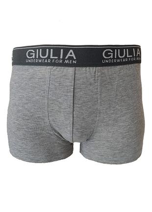 Bono чоловічі труси шорти боксери 950154 укорочені underwear