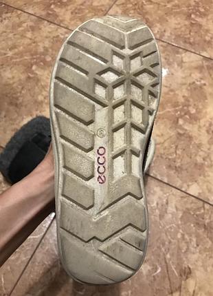 Сапоги ecco 3