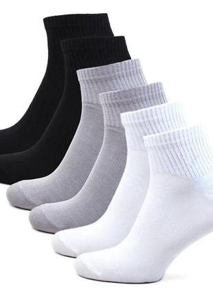 Набір літні шкарпетки sport classic 3 пари 41-45 чоловічі спортивні шкарпетки