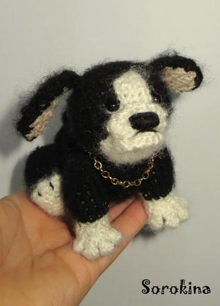 Французский бульдожек