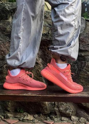 Adidas yeezy boost 350 coral (рефлективні шнурки)3 фото