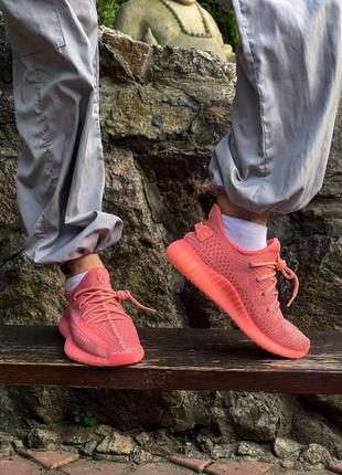 Adidas yeezy boost 350 coral (рефлективні шнурки)9 фото