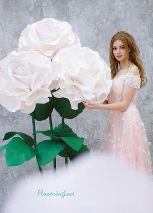 Гігантські білі троянди зі світлодіодним освітленням4 фото