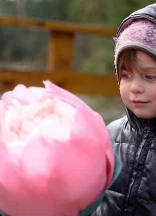 Гігантський паперовий бутон півонії на стеблі1 фото