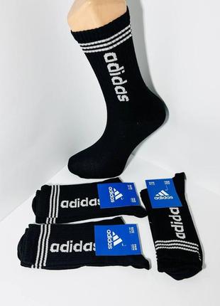Шкарпетки чоловічі 12 пар демісезонні спортивні високі з бавовни adidas розмір 40-45 чорні