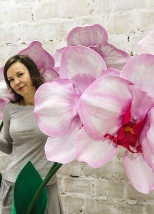 Гигантская фантастическая орхидея на подставке7 фото
