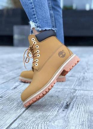 Timberland ginger 2