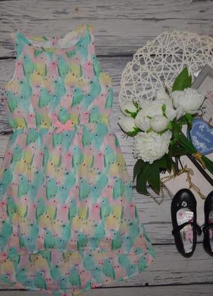 7 - 8 років 128 см h&m дуже ошатне романтичне плаття сарафан папуги для принцеси