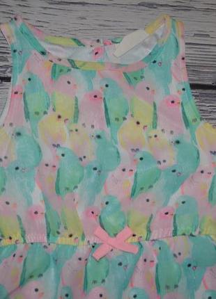 7 - 8 лет 128 см h&m очень нарядное романтичное платье сарафан попугаи для принцессы4 фото