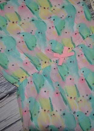 7 - 8 лет 128 см h&m очень нарядное романтичное платье сарафан попугаи для принцессы5 фото