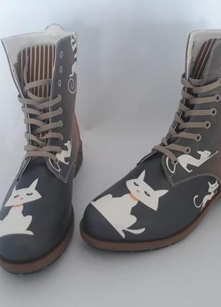 Cute cat