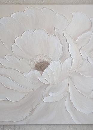 Картина біла квітка5 фото