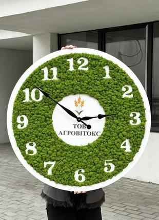 Годинник з мохом. настінний годинник з мохом. годинник з живим стабілізованим мохом. діаметр 80 см7 фото