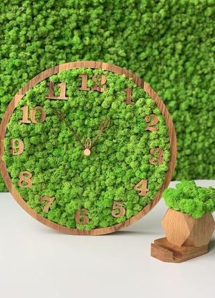 Дубові годинник зі стабілізованим мохом4 фото