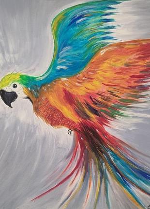 "попугай ара" картина маслом10 фото
