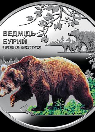 Монета нбу "чорнобиль. відродження. ведмідь бурий"