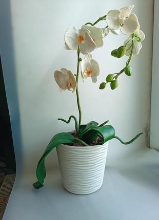 Орхідея з холодної порцеляни4 фото