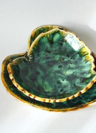 Набір зелених тарілок листя для подачі