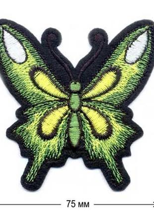 Вишиті нашивки на одяг embroidery метелики набір №4 75х80 мм (68709)4 фото