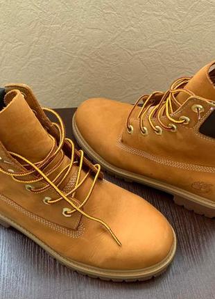 Ботинки boys тм "timberland" р.6/6,5/39,5/24,5 нубук1 фото