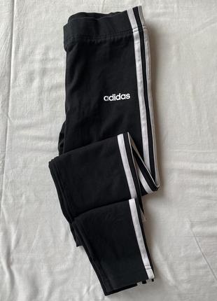 Лосіни adidas2 фото