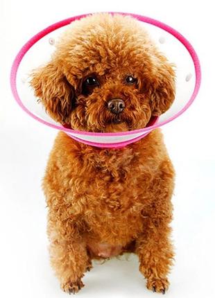 Воротник-ошейник "для заживления ран" pink для собак и кошек size s (15-20 см)3 фото