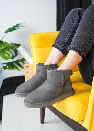 Ugg mini зимові жіночі чоботи уггі сірі