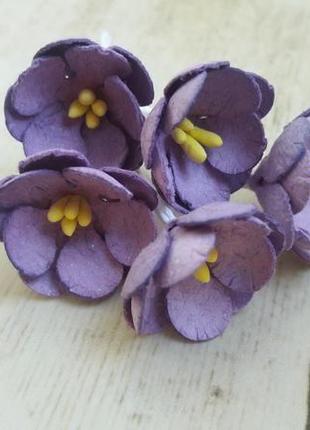 Цветы яблони фиолетовые