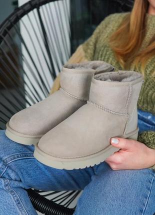 Ugg mini женские зимние сапоги угг мини серого цвета