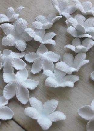 Мелкие цветочки крокусы белые