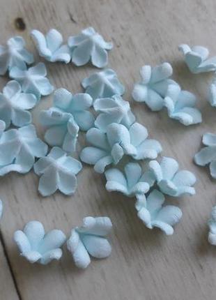 Мелкие цветочки крокусы нежно-голубые