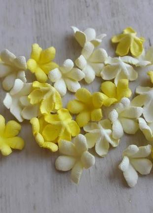 Дрібні квіточки крокуси жовтий мікс1 фото