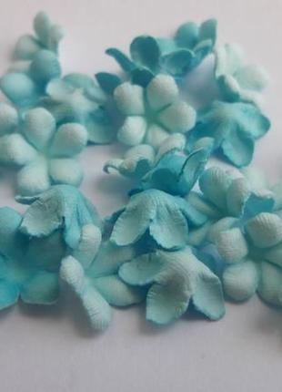 Мелкие цветочки крокусы голубой микс