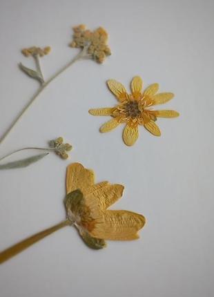 Набір світло-жовтих квітів.9 фото