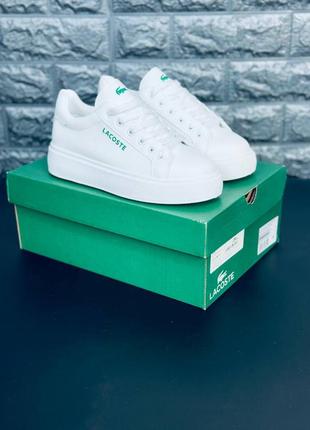 Женские кроссовки лакоста белые кроссовки lacoste