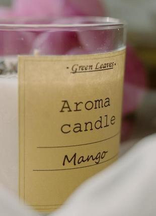 Соєва свічка  "манго"6 фото