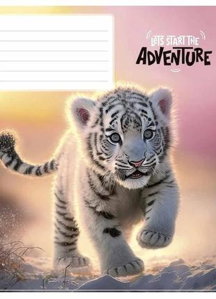 Тетрадь ученическая "adventure" 012-3291c-2 в косую линию, 12 листов