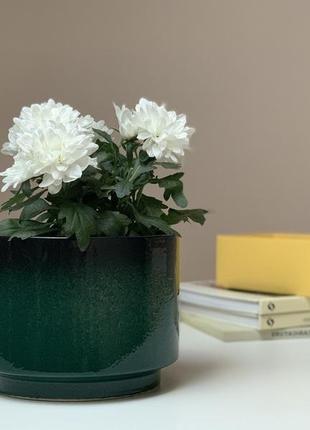 Кашпо для квітів, темно-зелена глазур4 фото