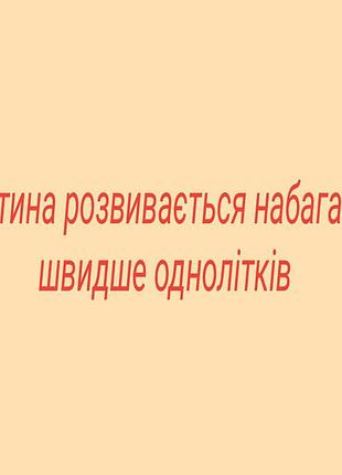 Большой украинский чемодан по доману 7
