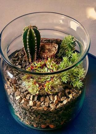 Флорариум "flower jar"1 фото