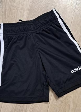 Шорти adidas1 фото