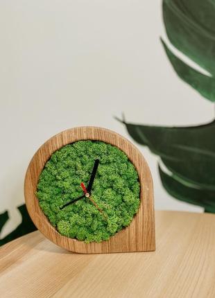 Годинник зі стабілізованим мохом1 фото