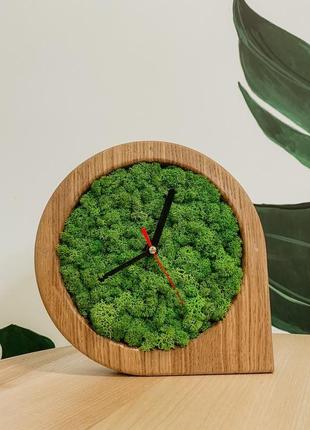 Годинник зі стабілізованим мохом3 фото