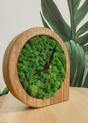 Годинник зі стабілізованим мохом2 фото