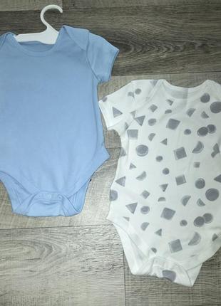 Бодіки нові