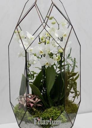 Кристалл большой с орхидеей2 фото